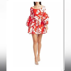 Caroline Constas Dress